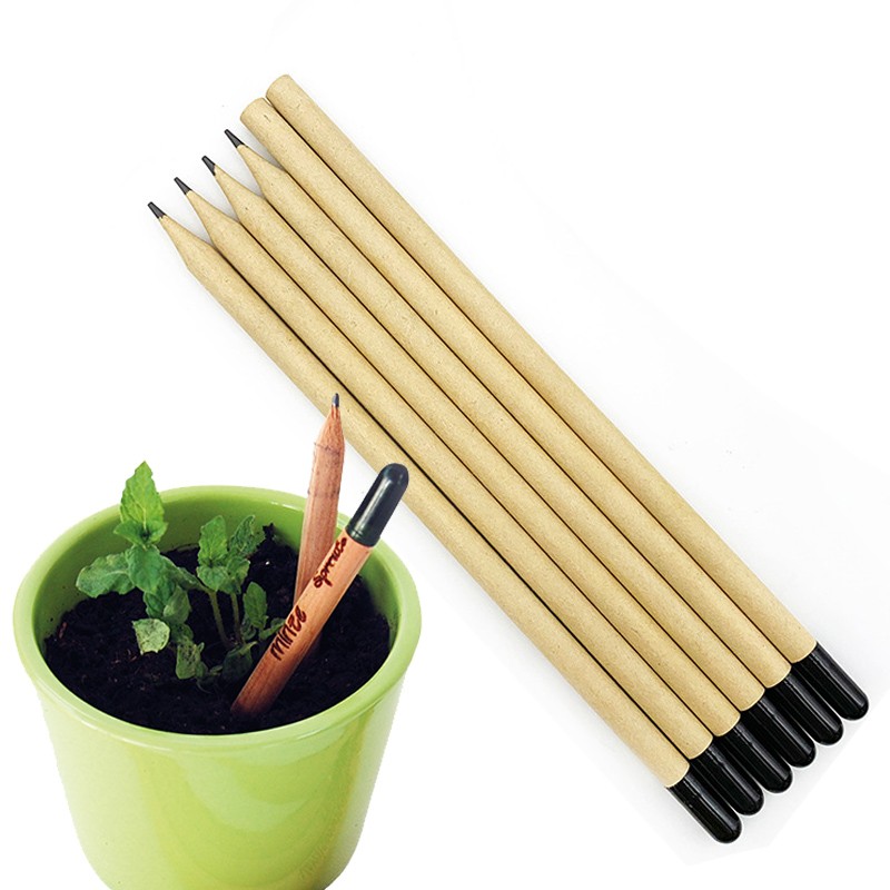 Biodegradable Ecofriendly Plantable Seed Wooden Pencil Okasa